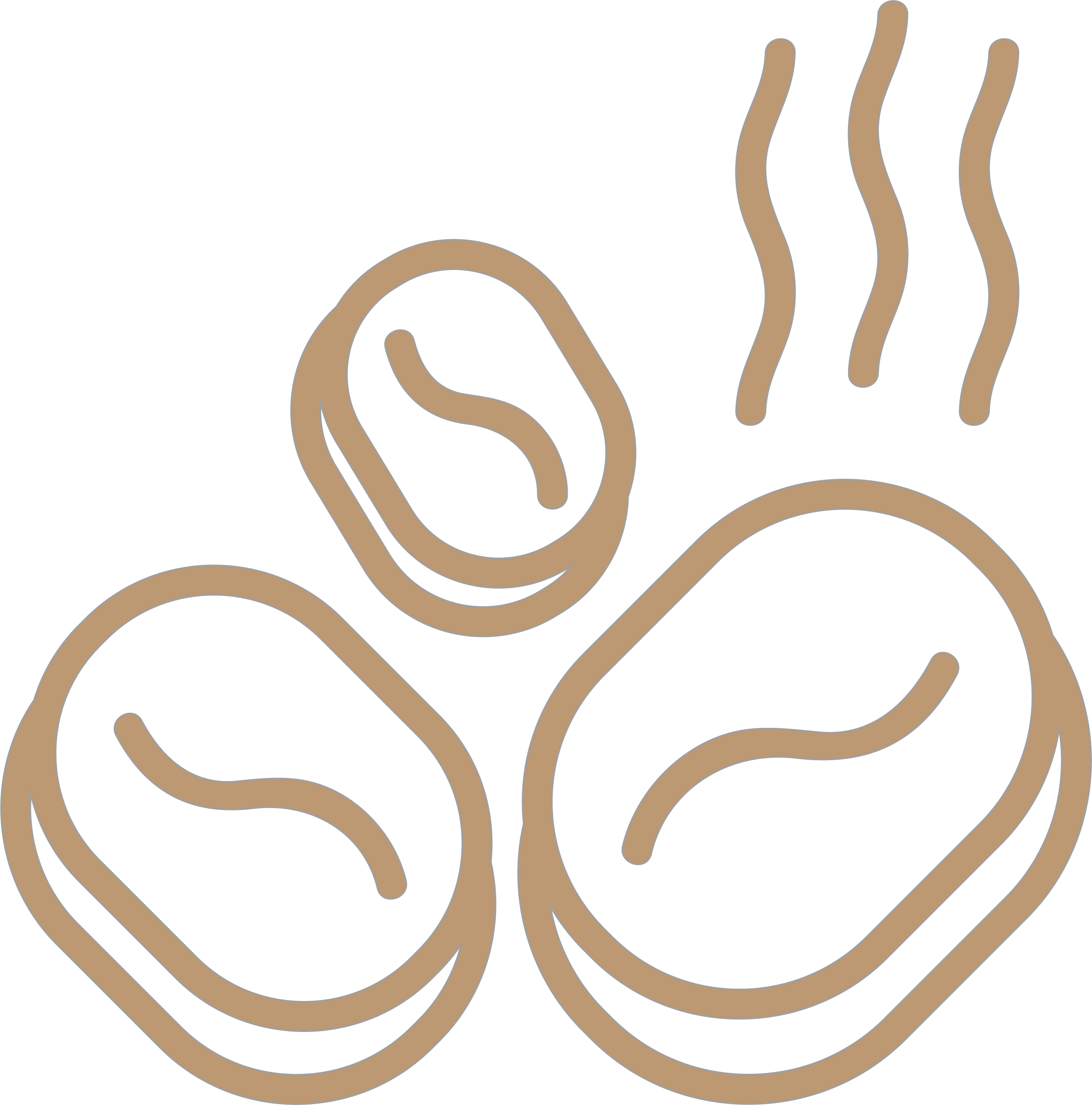 Premium Quality Beans